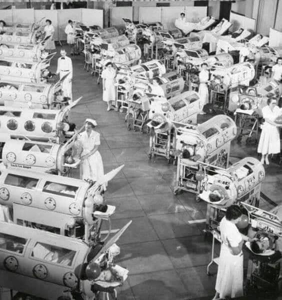 Patients in iron lungs in polio ward